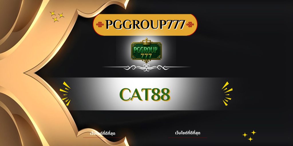cat888